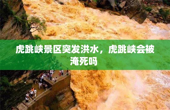 虎跳峡景区突发洪水,虎跳峡会被淹死吗