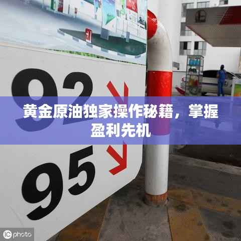 黄金原油独家操作秘籍，掌握盈利先机