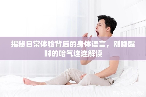 揭秘日常体验背后的身体语言,刚睡醒时的哈气连连解读