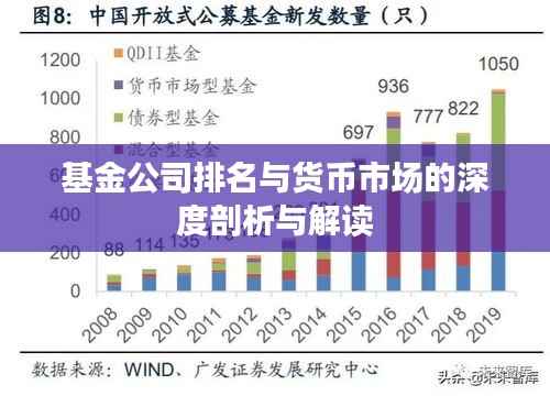 基金公司排名与货币市场的深度剖析与解读