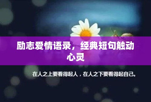 励志爱情语录,经典短句触动心灵