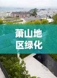 萧山地区绿化施工公司排名及影响力解析
