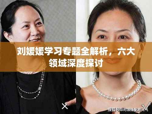刘媛媛学习专题全解析,六大领域深度探讨