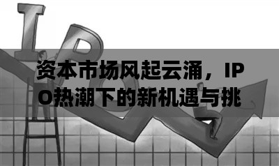 资本市场风起云涌,IPO热潮下的新机遇与挑战