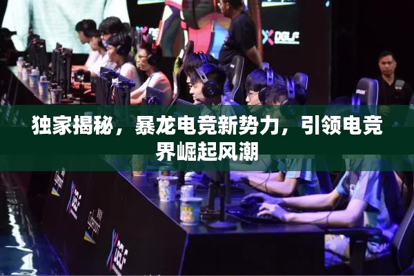 独家揭秘,暴龙电竞新势力,引领电竞界崛起风潮