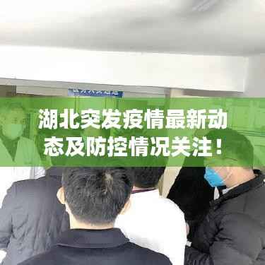 湖北突发疫情最新动态及防控情况关注!