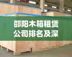 邵阳木箱租赁公司排名及深度市场分析