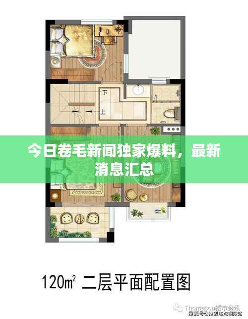 今日卷毛新闻独家爆料,最新消息汇总