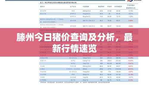 滕州今日猪价查询及分析,最新行情速览