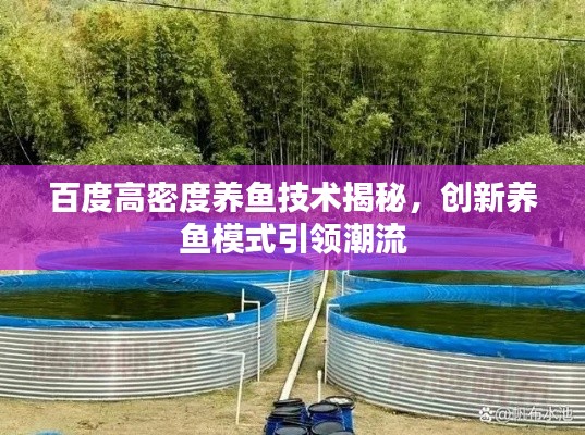 百度高密度养鱼技术揭秘,创新养鱼模式引领潮流