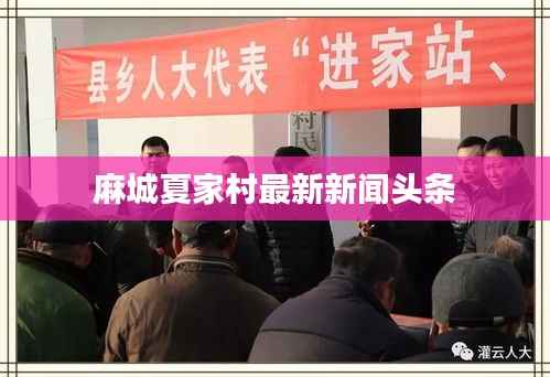 麻城夏家村最新新闻头条