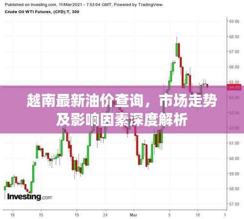 越南最新油价查询,市场走势及影响因素深度解析