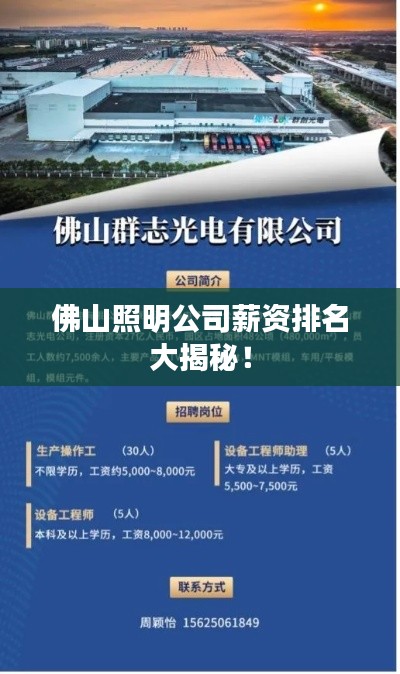 佛山照明公司薪资排名大揭秘!