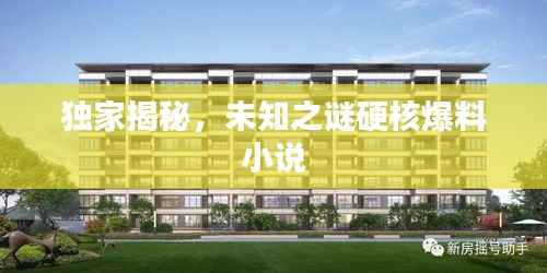 独家揭秘,未知之谜硬核爆料小说