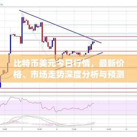 比特币美元今日行情,最新价格、市场走势深度分析与预测