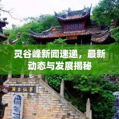 灵谷峰新闻速递,最新动态与发展揭秘