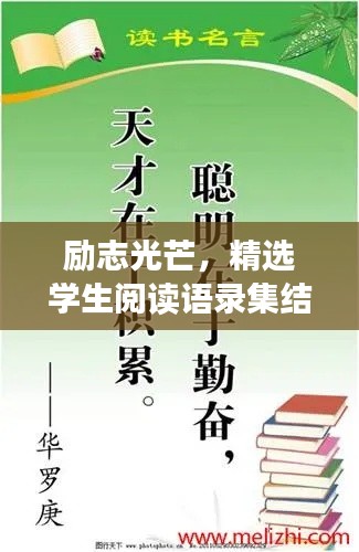 励志光芒,精选学生阅读语录集结