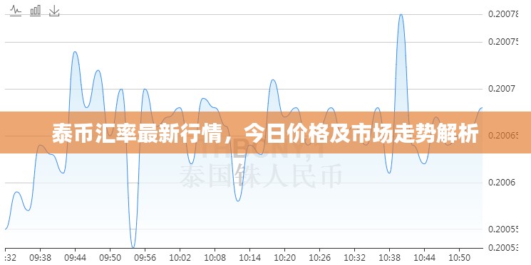 泰币汇率最新行情,今日价格及市场走势解析